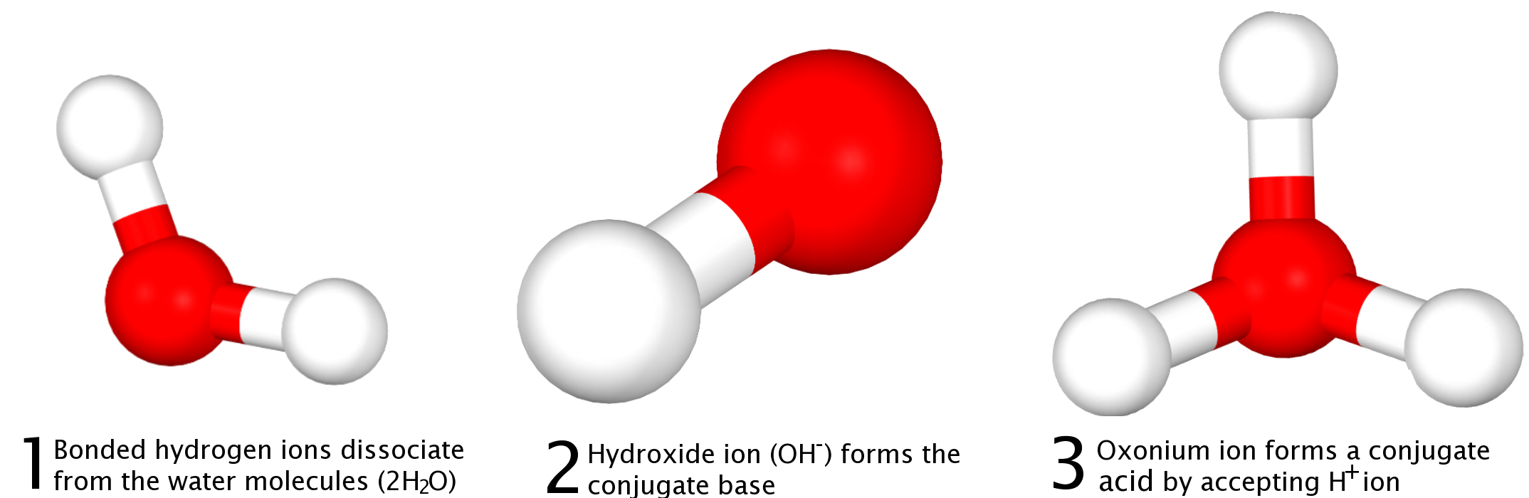 Bronsted-lowry-3d-explanation-diagram