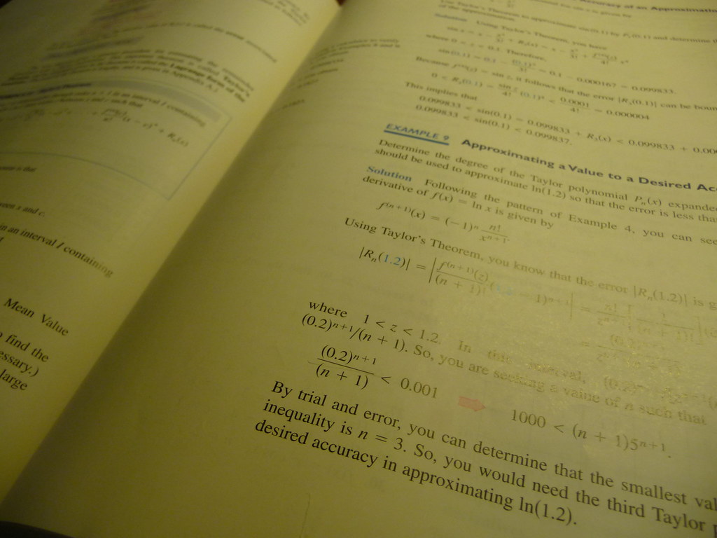 Polynomial Approximations and Series