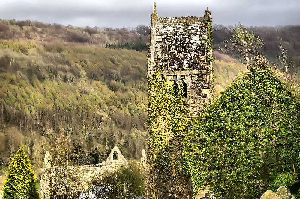 Tintern Abbey