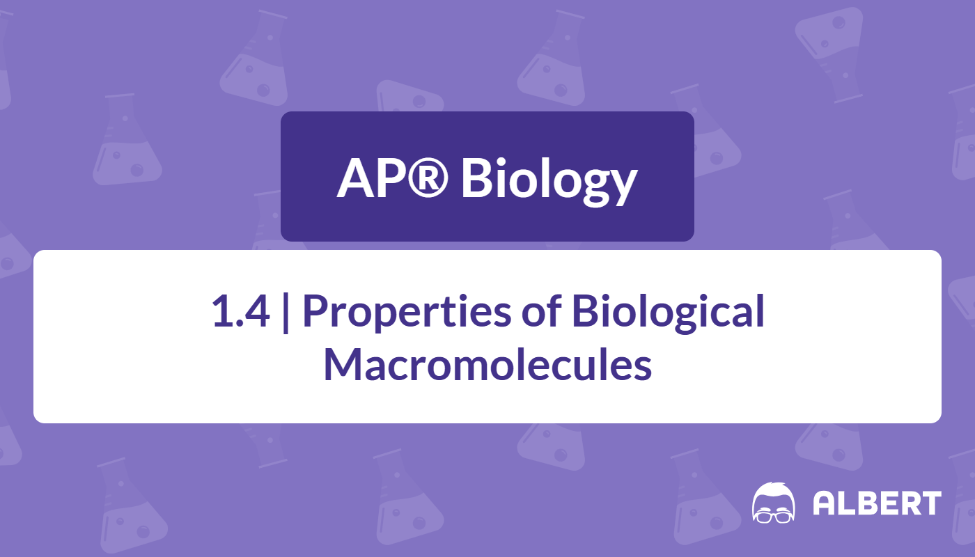 common macromolecule monomers