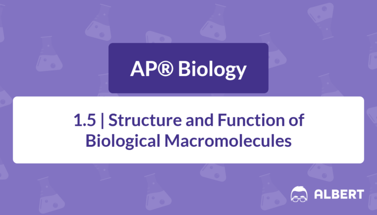 functions of macromolecules